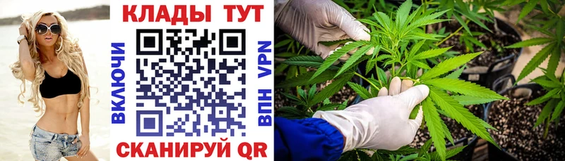 Названия наркотиков Кимовск NBOMe  Alpha-PVP  ГАШИШ  Конопля  мега tor  Кокаин  Амфетамин  Меф 