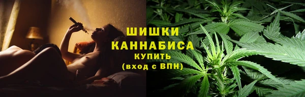 PSILOCYBIN Верхний Тагил