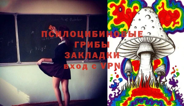 PSILOCYBIN Верхний Тагил