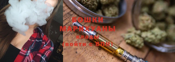 PSILOCYBIN Верхний Тагил