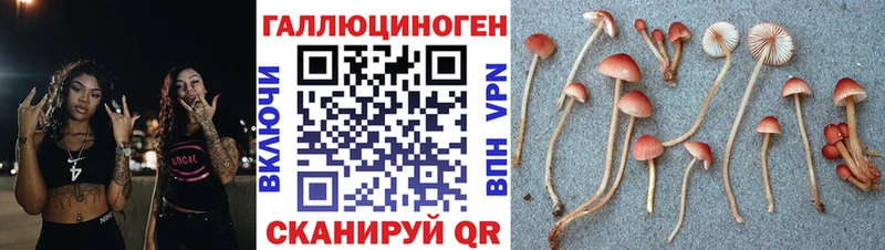 Галлюциногенные грибы ЛСД  где можно купить   omg ТОР  Кимовск 